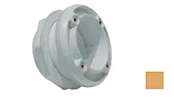 AquaStar 6" Bulkhead Adapter, 2.5" Thread, 2" Socket, with Gaskets and Locking Nut for Fiberglass/Steel | Light Gray | 6HA25T20S103