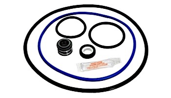 Seal & Gasket Kit for Hayward Northstar Up-Rated Pool Pumps | GO-KIT66 APCK1064