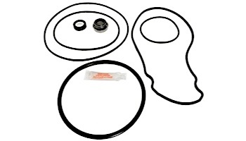 Seal & Gasket for Pentair SuperFlo Pool Pumps | GO-KIT78-9