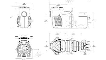 Sta-Rite Max-E-ProXF | XP-12 | 3HP Standard Efficiency Pool Pump | 023013