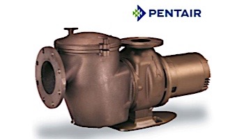 Pentair C Series Standard Efficiency Commercial Bronze Pump with Strainer | 3 Phase | 200-208V 5HP | CHK-50 | 347941