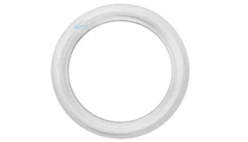 Delta Ultraviolet Flat O-Ring | 44-02335 | 1000-2467