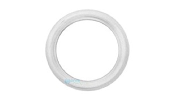 Delta Ultraviolet Flat O-Ring | 44-02335 | 1000-2467