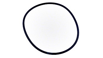 Pentair Whisperflo XF Seal Plate O-Ring | 351446