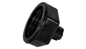 Waterway Plastics Drain Screen Cap | 602-5321