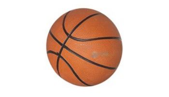 Hathaway 7-Inch Mini Basketball | NG2213 BG2213