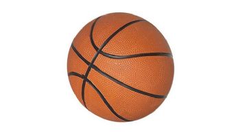 Hathaway 7-In Mini Basketball | NG2213 BG2213