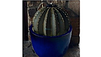 Desert Steel Golden Barrel Cactus with Torch | Small | 350-010VT