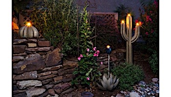 Desert Steel Golden Barrel Cactus with Torch | Small | 350-010VT