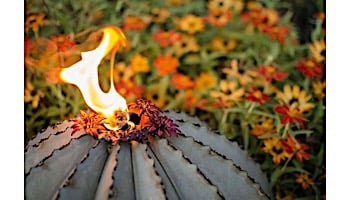 Desert Steel Golden Barrel Cactus with Torch | Small | 350-010VT