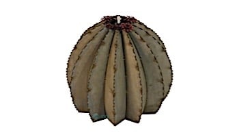 Desert Steel Golden Barrel Cactus with Torch | Small | 350-010VT
