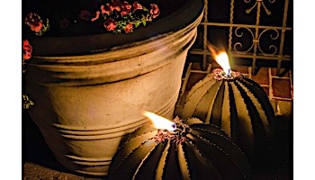 Desert Steel Golden Barrel Cactus with Torch | Small | 350-010VT