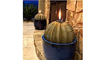 Desert Steel Golden Barrel Cactus wit Torch | Large | 350-030VT