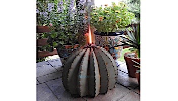 Desert Steel Golden Barrel Cactus wit Torch | Large | 350-030VT