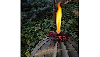 Desert Steel Golden Barrel Cactus wit Torch | Large | 350-030VT