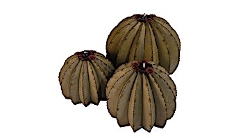 Desert Steel Golden Barrel Cactus wit Torch | Large | 350-030VT