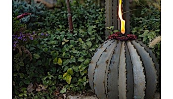 Desert Steel Golden Barrel Cactus wit Torch | Large | 350-030VT