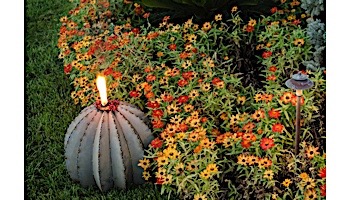 Desert Steel Golden Barrel Cactus wit Torch | Large | 350-030VT