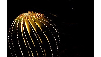 Desert Steel Artisan Collection Small Golden Barrel Cactus | 300-010V