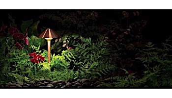 FX Luminaire CA 3 LED Path Light | Antique Bronze | 8" Riser | CA3LED8RAB KIT
