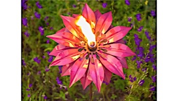 Desert Steel Bishop Dahlia Garden Torch | 409-002