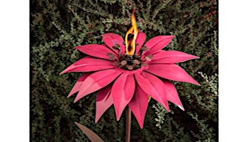 Desert Steel Bishop Dahlia Garden Torch | 409-002