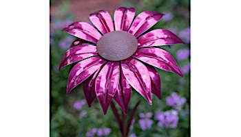 Desert Steel Bishop Dahlia Garden Torch | 409-002