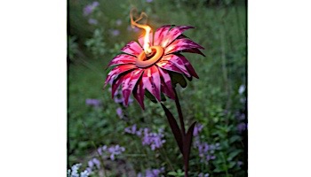 Desert Steel Bishop Dahlia Garden Torch | 409-002