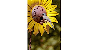 Desert Steel Sunflower Bird Feeder | 409-103