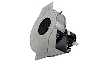 Hayward Combustion Blower for H-Series Low NOx Heater | 120V | IDXLBWR1931