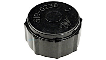 Waterway Plastics Drain Cap With Gasket Assembly | 550-0240