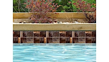 National Pool Tile Escapes Series Pool Tile | Driftwood |  ESC-BRDARK