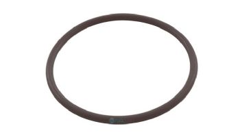 Zodiac Fusion Collar O-ring | R0586400