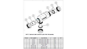 CompuPool Union O-Ring CPX Series | Sold Individually | BS231