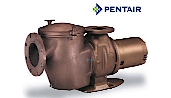 Pentair C-Series 10HP Standard Efficiency 3-Phase Commercial Bronze Pump with Strainer | 380-415V 50HZ | CHKL-100 | 014882