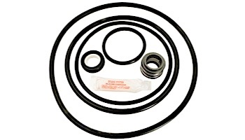 Seal & Gasket Kit for Sta-Rite J Series Pool Pumps | GO-KIT47 APCK1043