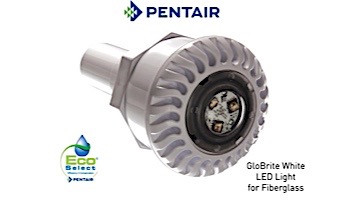 Pentair GloBrite Shallow Water White LED Light | 12V 100' Cord | 602104