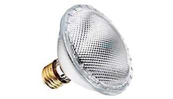 Halco 39W Halogen Bulb 120V | Replaces 100W Halogen Bulbs | 70343 HP20NFL39/HX PAR20