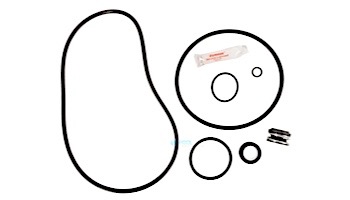 Seal & Gasket Kit for Sta-Rite Max-E-Pro Series Pool Pumps | GO-KIT79