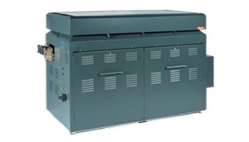 Raypak Raytherm P-926 #49 Cold Run Commercial Swimming Pool Heater with Outdoor Top | Natural Gas 926,000 BTUH | 012390