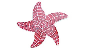 AquaStar Swim Designs Starfish Stencil Only | Gray | F1012-05