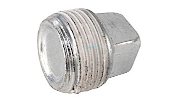 Pentair 3/4" Pipe Plug for Max-E-Therm Heater Water System | U78-60ZPS