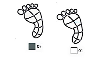 AquaStar Swim Designs Footprint Small Stencil Only Set of 2 | White | F1019-01