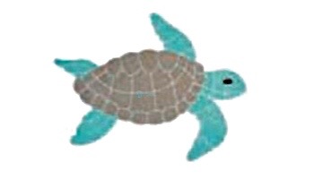 AquaStar Swim Designs Turtle Medium Stencil Only | White | F1023-01