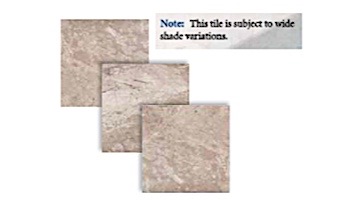 National Pool Tile Relic 6x6 Pool Tile | Wind | REL-WIND