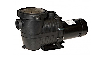 Blue Wave TidalWave 2-Speed  Above Ground Pool Pump | 1 HP with Cord | NE6181