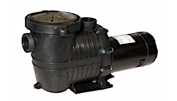 Blue Wave TidalWave 2-Speed Above Ground Pool Pump | 1.5 HP with Cord | NE6183