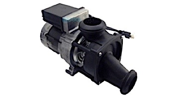 Jacuzzi 115V 7.5AMP with Air Switch Bath Pump | HB21000