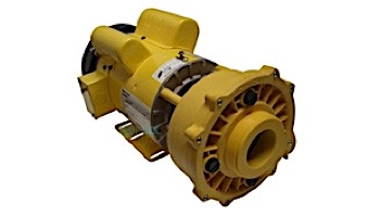 Waterway 230V 56FR 5.0HP 2.5" Intake 14AMP Yellow Pump Assembly | 3722020-6310
