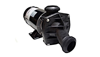 Jacuzzi 120V 2SP J-Pump | 2500-255